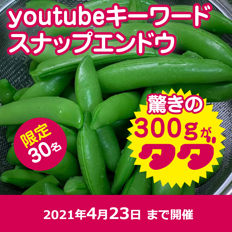タダヤサイ 産地直送の野菜をタダでもらえる 農作物通販サイト