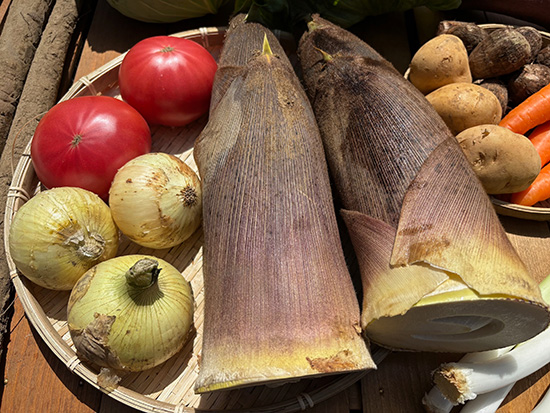 【タケノコ付き】訳あり野菜11品セット（北海道と九州の方）