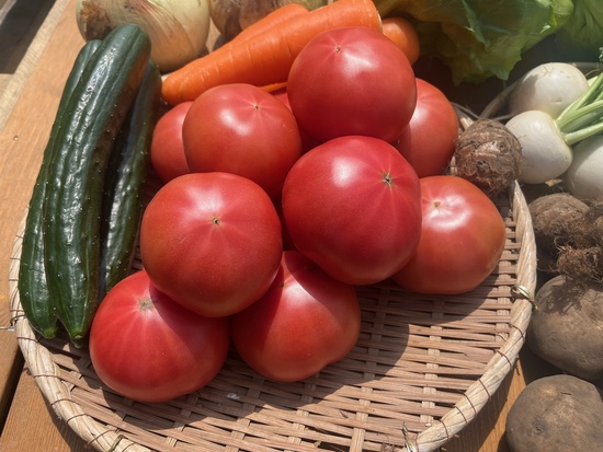 【美味しいトマト1.5キロ付き】訳アリ野菜11種（本州と四国の方）※送料込み※