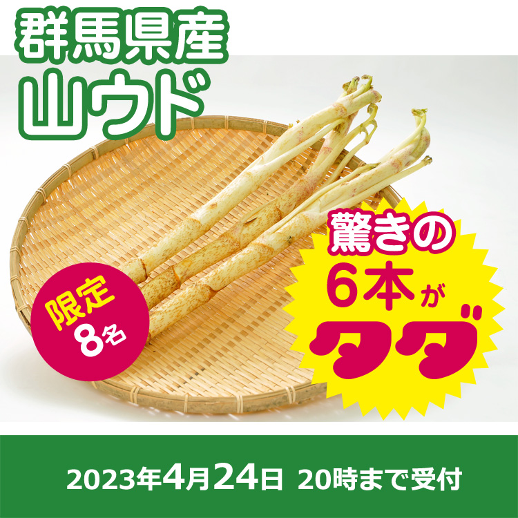 【プレゼント】山ウド