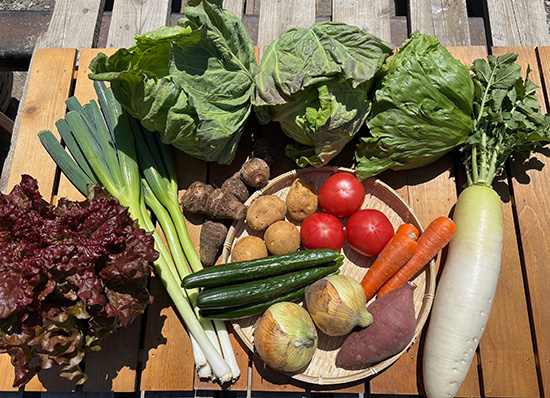 【特売4/19】訳アリ野菜12種（本州と四国の方）※送料込み※