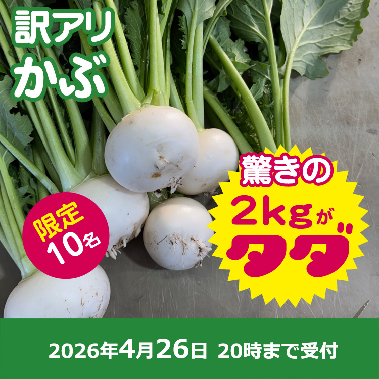 【プレゼント】訳あり「カブ」プレゼント