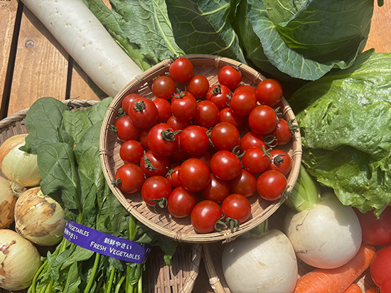 【高糖度ミニトマト付き】訳アリ野菜11種（北海道と九州の方）※送料込み※