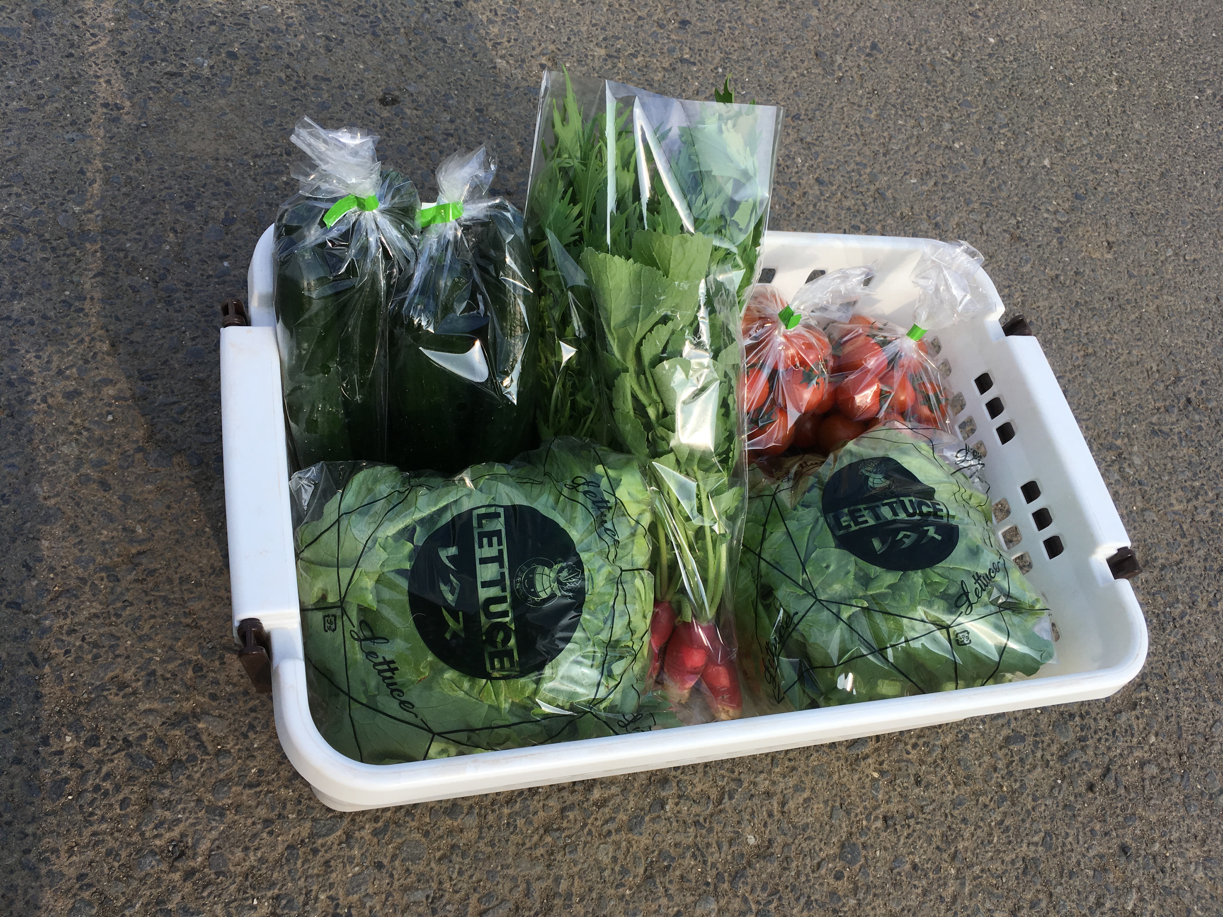 平成最後のお野菜セット 北海道・北東北限定