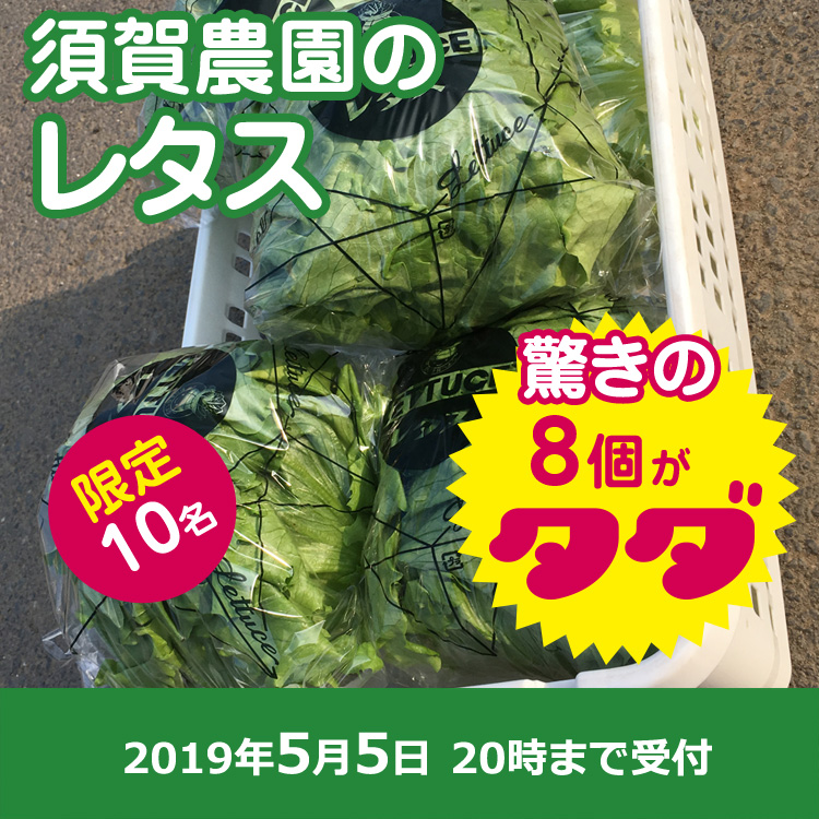 【須賀 農園ご提供】群馬県産 レタス8個