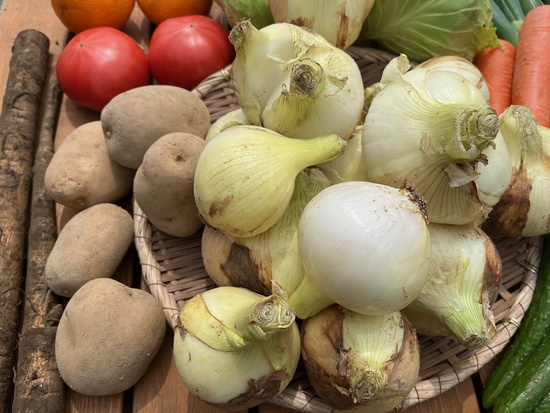 【新玉ねぎ3キロ付き】訳アリ野菜11種（本州と四国の方）※送料込み※