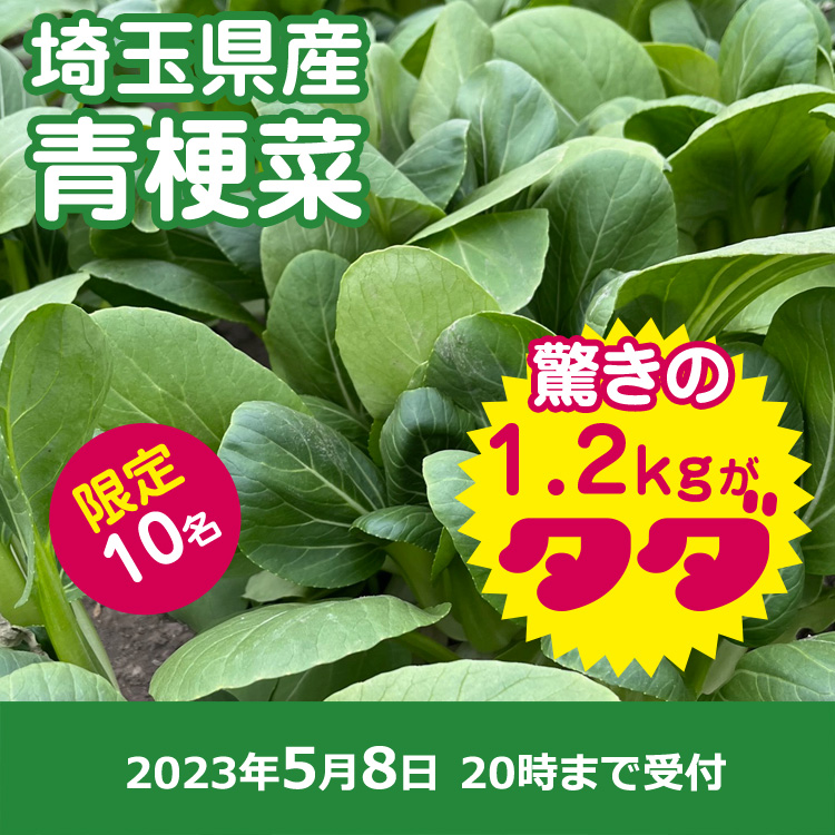 【プレゼント】チンゲン菜