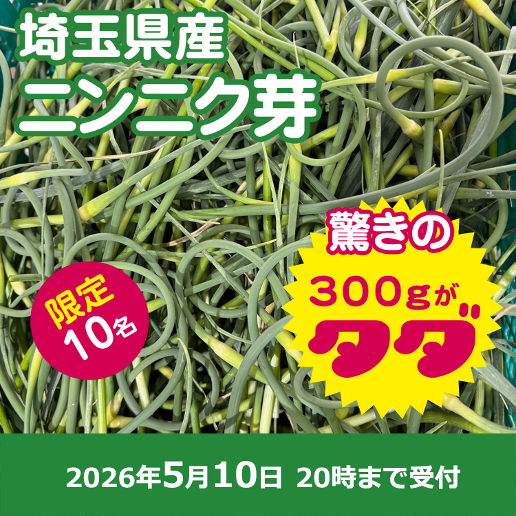 【プレゼント】ニンニクの芽
