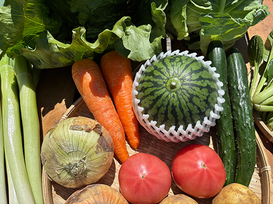 【小玉スイカ付き】訳アリ野菜11種（北海道と九州の方）※送料込み※
