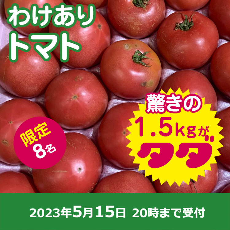 【プレゼント】訳アリトマト