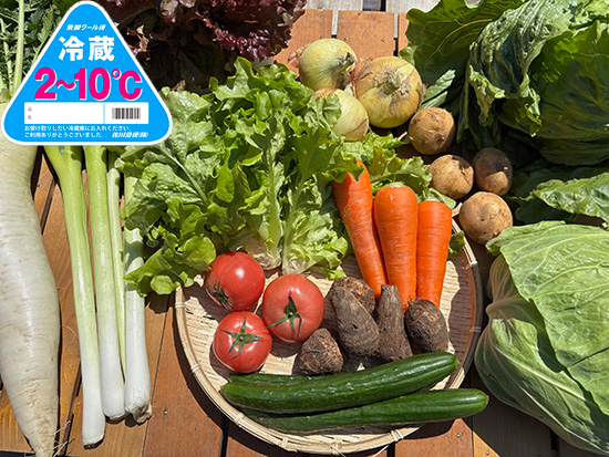 【特売5/9】訳アリ野菜11種（本州と四国の方）※クール送料込み※