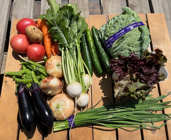 【※クール便※5月11日】訳アリ野菜12種(北海道と九州の方)※送料込み※