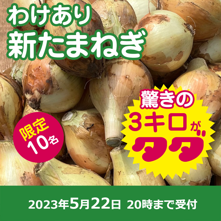 【プレゼント】訳アリ　新たまねぎ