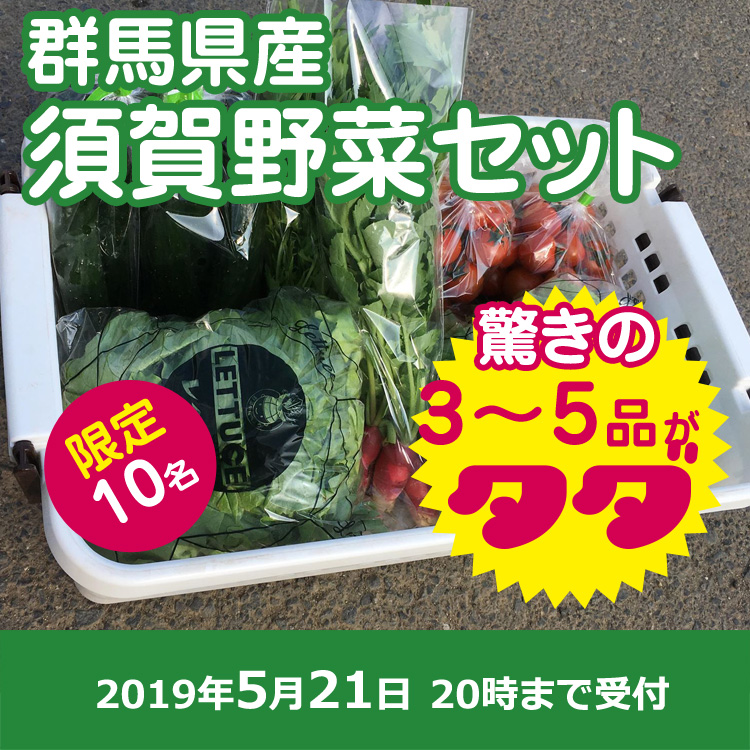 【須賀 農園ご提供】群馬県産 野菜セット