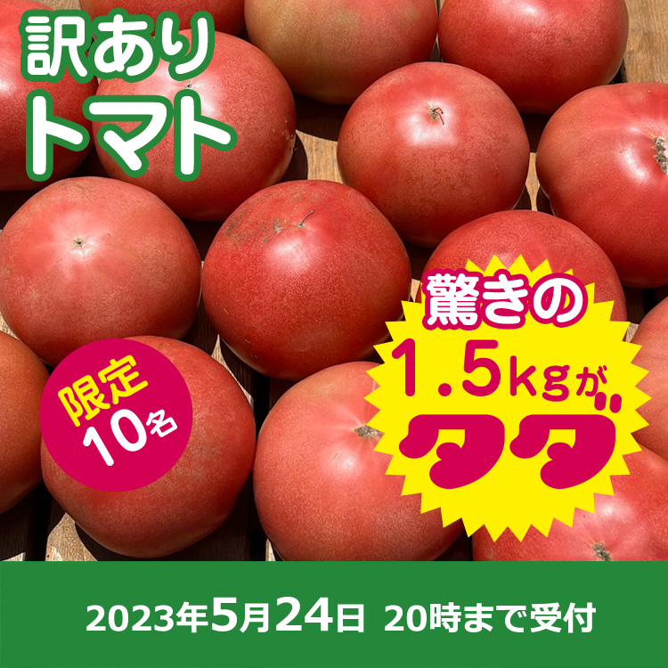 【プレゼント】訳アリ　大玉トマト1.5キロ