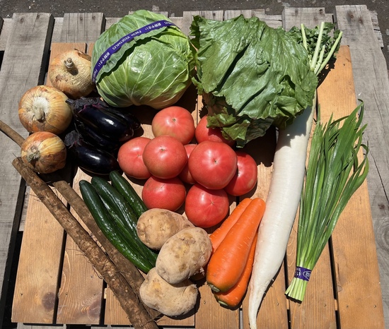 【※クール便※プレゼントトマト1.5キロ付き】訳アリ野菜12種（北海道と九州の方）※送料込み※
