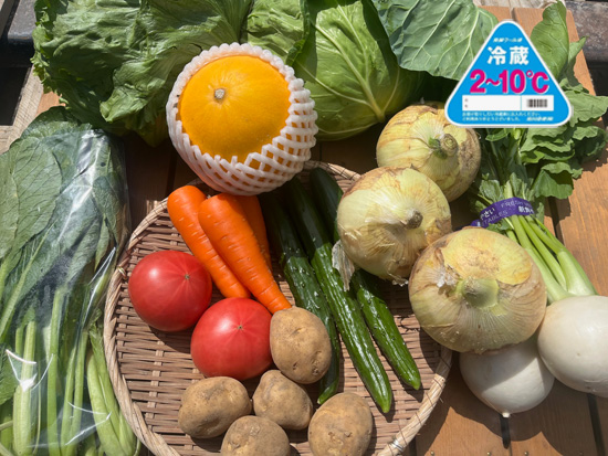 【メロン付き】訳あり野菜11種セット(本州と四国の方)