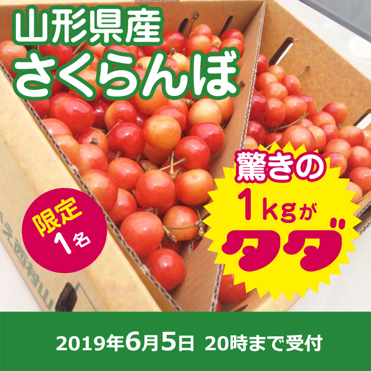 【さくらんぼ畑様ご提供】山形県産 さくらんぼ1kg