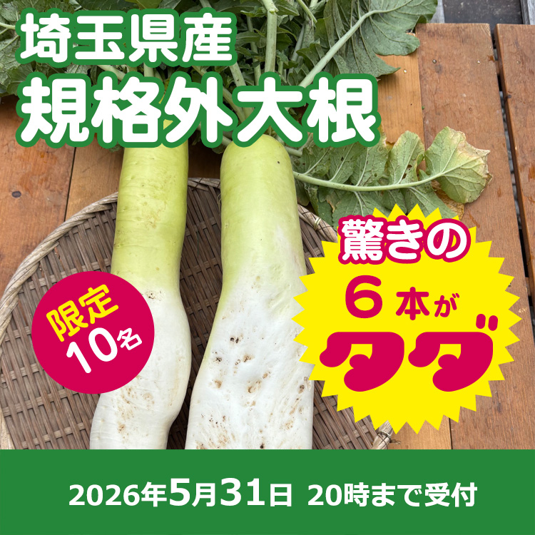 【プレゼント】規格外大根6本