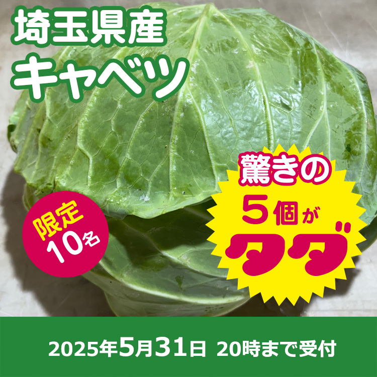【プレゼント】パリパリキャベツ