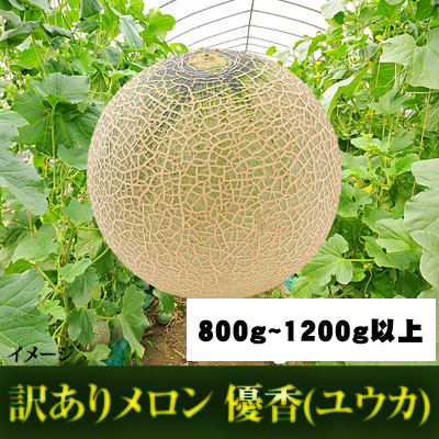 【予約】訳ありメロン3~4個入り【優香(ユウカ)】 (送料込)※関東・東北・中部の方※