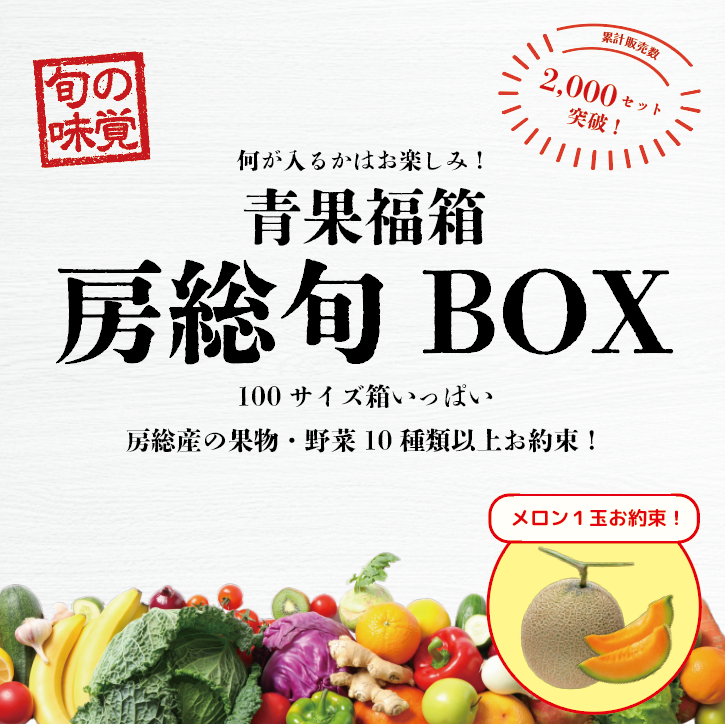 【必ずメロンが入る!房総旬BOX!! 100サイズ段ボールに野菜、果物詰め合わせます!】産直 産地直送 道の駅 直売所販売商品