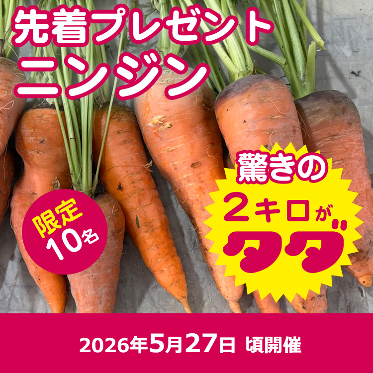 【先着プレゼント】訳ありニンジン（送料無料）