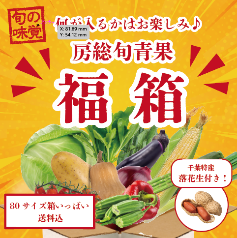 【【福箱!千葉特産落花生付き!旬の房総野菜、房総果物詰め合わせ!】産地直送 産直 直売所 道の駅商品をどうぞ