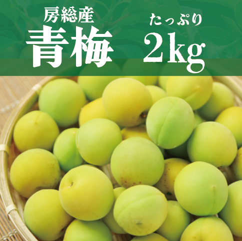 【房総産 もぎたて青梅! たっぷり2㎏ 梅酒や梅干しに!】産地直送 産直 直売所 道の駅