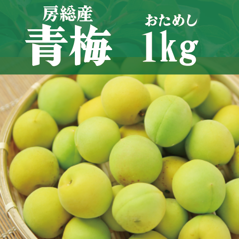 【房総産 もぎたて青梅! 1㎏ 梅酒や梅干しに!】産地直送 産直 直売所 道の駅
