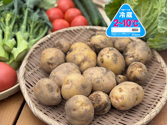 【新じゃが1.2キロ付き】クール便!訳アリ野菜11種(北海道と九州の方)※送料込み※