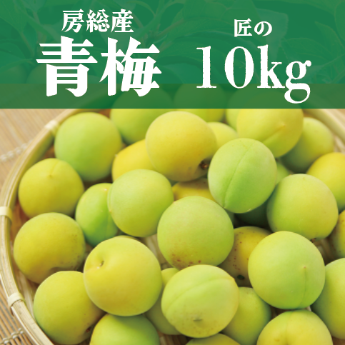 【房総産 もぎたて青梅! 匠の10㎏ 梅酒や梅干しに!】産地直送 産直 直売所 道の駅