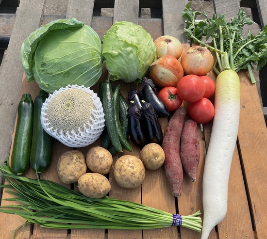 【※クール便※メロン入り】訳あり野菜11種セット（本州と四国の方）※送料込み※