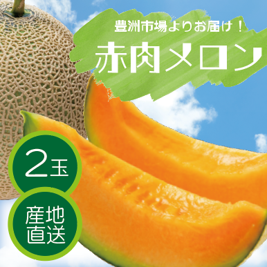 【豊洲市場発！赤肉メロン！夏の果物が届きました]  大人気メロンが2玉でお買い得