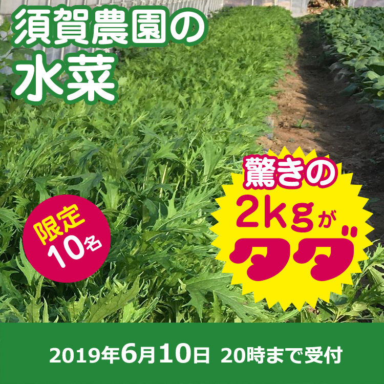 【須賀 農園ご提供】水菜 2kg