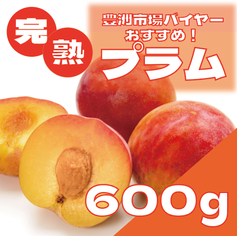 【豊洲市場発!果汁あふれるジューシー完熟プラム(すもも)】