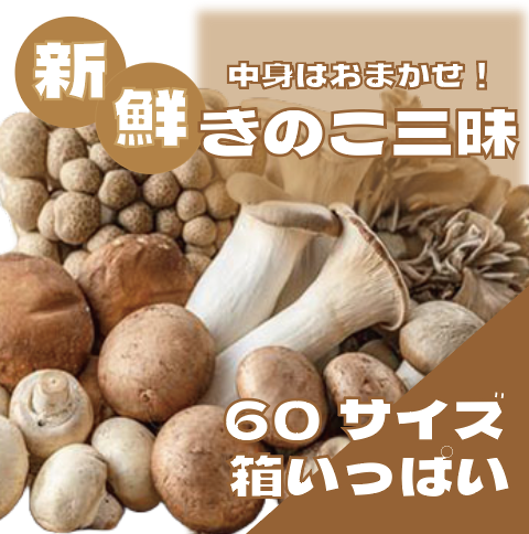 【何が入るかはお楽しみ!こだわりの鮮度抜群きのこ三昧!】