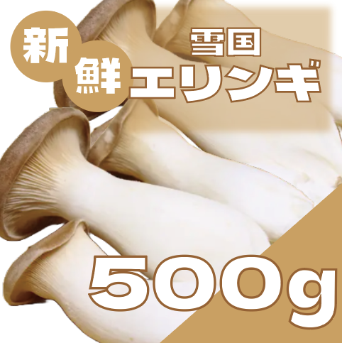 【ぷりっぷり食感!たっぷりエリンギ】