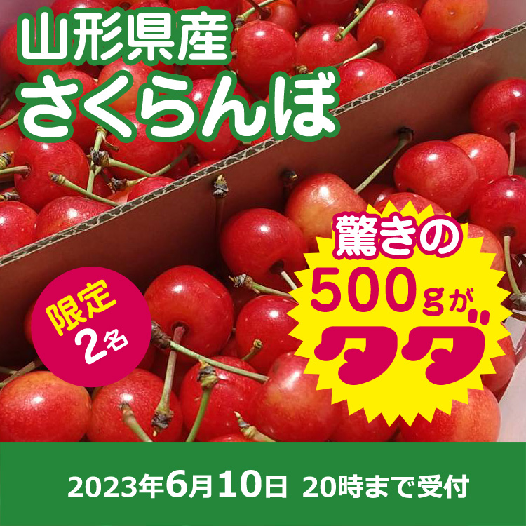 【プレゼント】さくらんぼ500ｇ