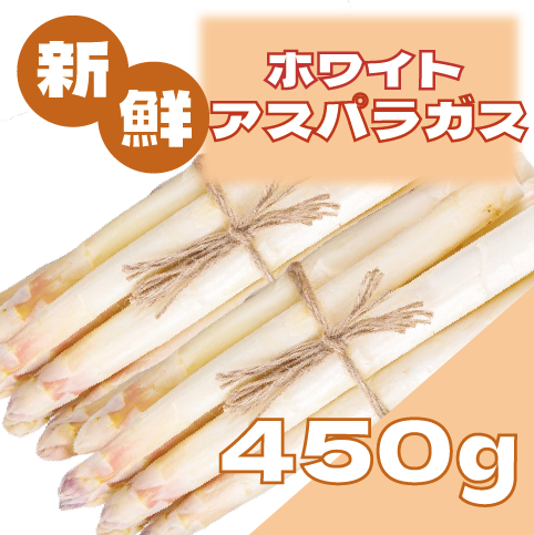 【ホワイトアスパラガス!柔らかい食感とほのかな甘み!450g】