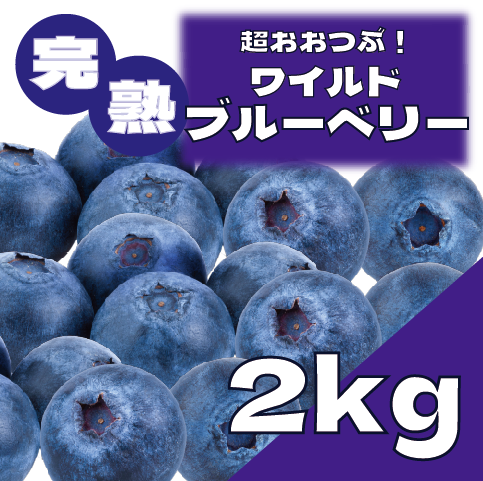 【冷凍ワイルドブルーベリー！希少なワイルドブルーベリー！】