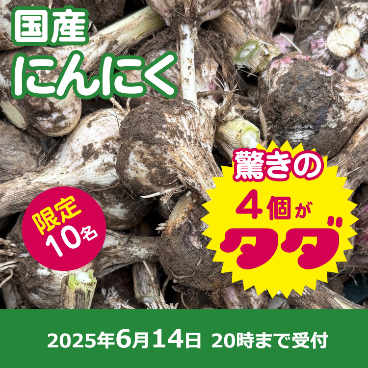 【プレゼント】国産ニンニク