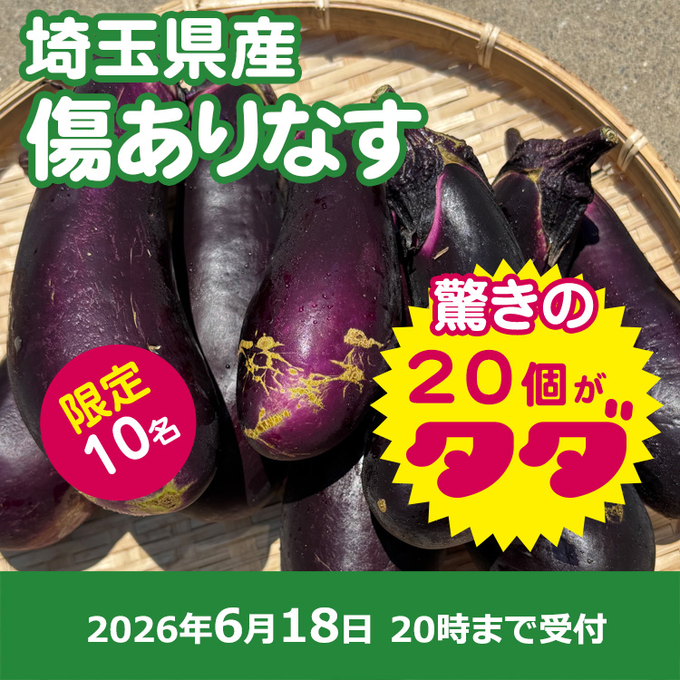 【プレゼント】規格外ナス