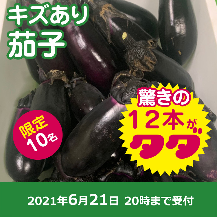 【プレゼント】茄子12本