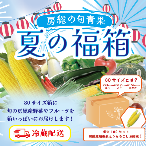 【朝どれとうもろこし付き!夏の房総福箱がやってきました!クール便配送!】直売所 道の駅商品