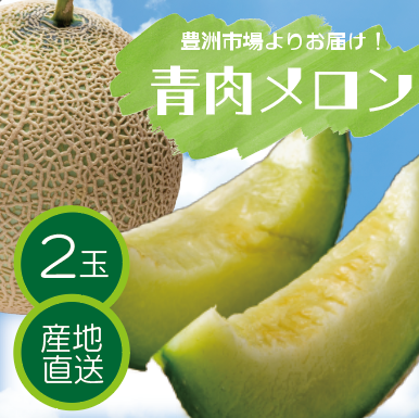 【豊洲市場発！青肉メロン！夏の果物が届きました]  大人気メロンが2玉でお買い得
