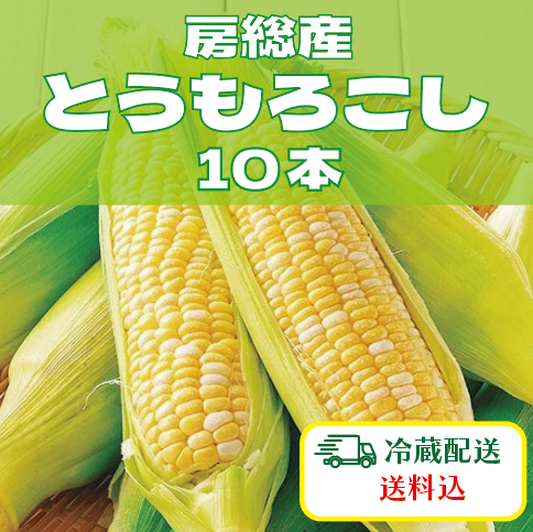 【房総エリア収穫!朝どれとうもろこし!10本入り!】産直 直売所 道の駅販売商品