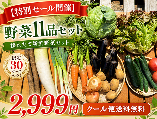 【限定30個】特売6/17訳アリ野菜11種（本州と四国の方）※送料込み※
