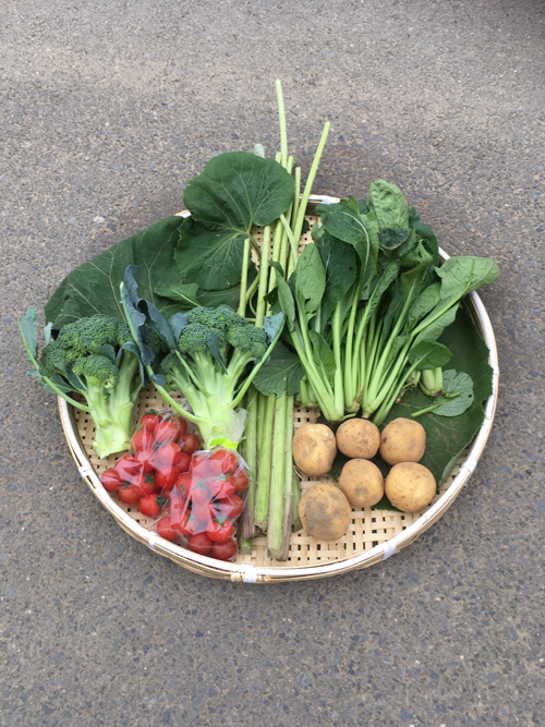 群馬須賀農園 お野菜セット(沖縄限定)