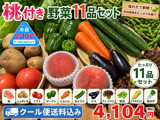 【桃】桃2個入り野菜11品セット（北海道と九州の方）※送料込み※